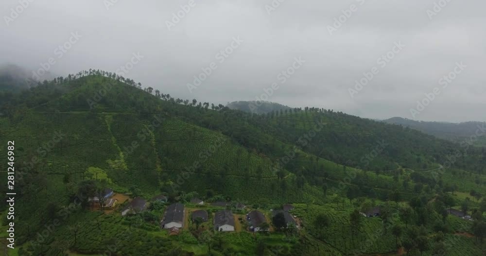 Aerial Shot Of Tea Plantations Over A Hill With Homes Around Aerial Shot Of Tea Plantations Over A Hill With Homes Around