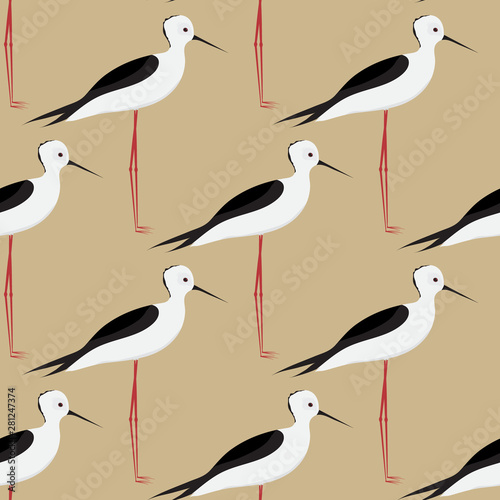 Bird. Little heron. Seamless background. Vector Illustration.