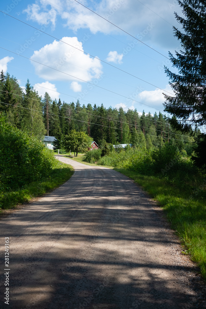 road in the forest road in the forest