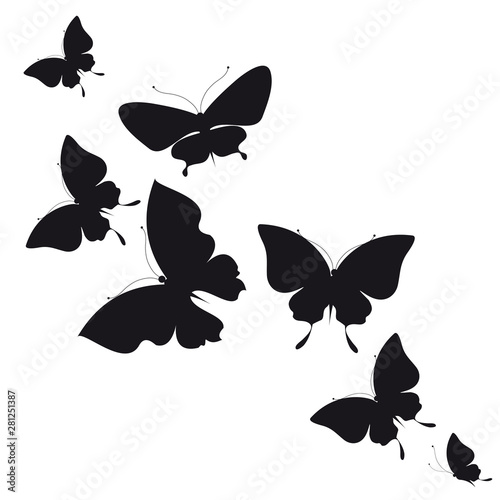 butterfly175