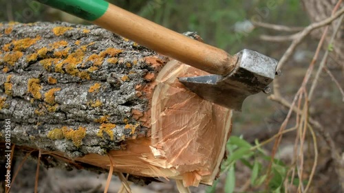 The axe sticks into the felled tree. The axe has a green handle, close-up video. End view.