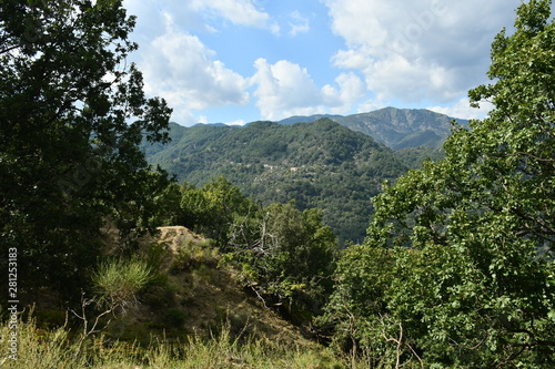 casalnuovo, frazione di Africo vecchio. Parco nazionale dell'aspromonte, Calabria