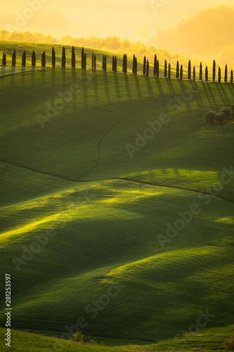 Obraz na płótnie Impressive autumn landscape,view with cypresses Tuscany,Italy w salonie