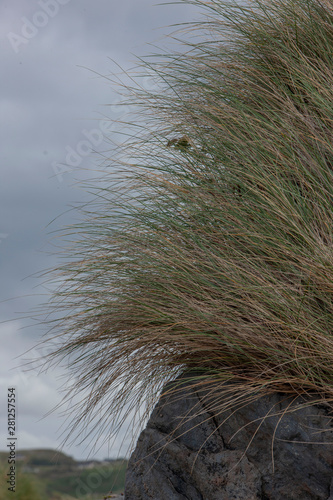 Grass coast West Ireland