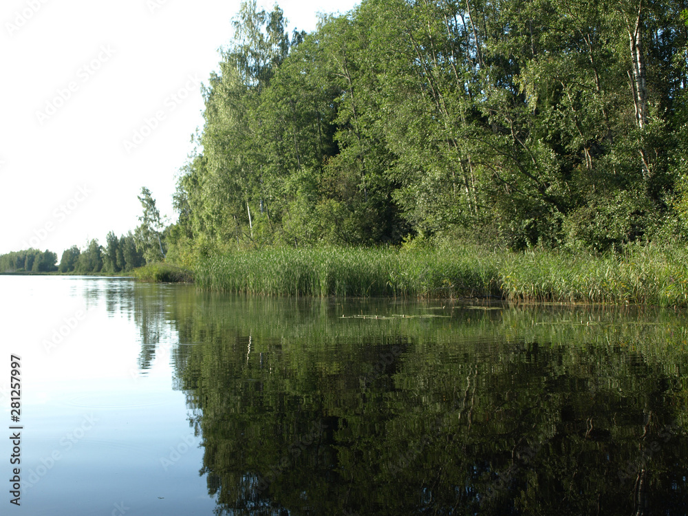 beautiful summer landscape with calm lake, reflections of different trees, blue sky, calm water, Latvia beautiful summer landscape with calm lake, reflections of different trees, blue sky, calm water, Latvia