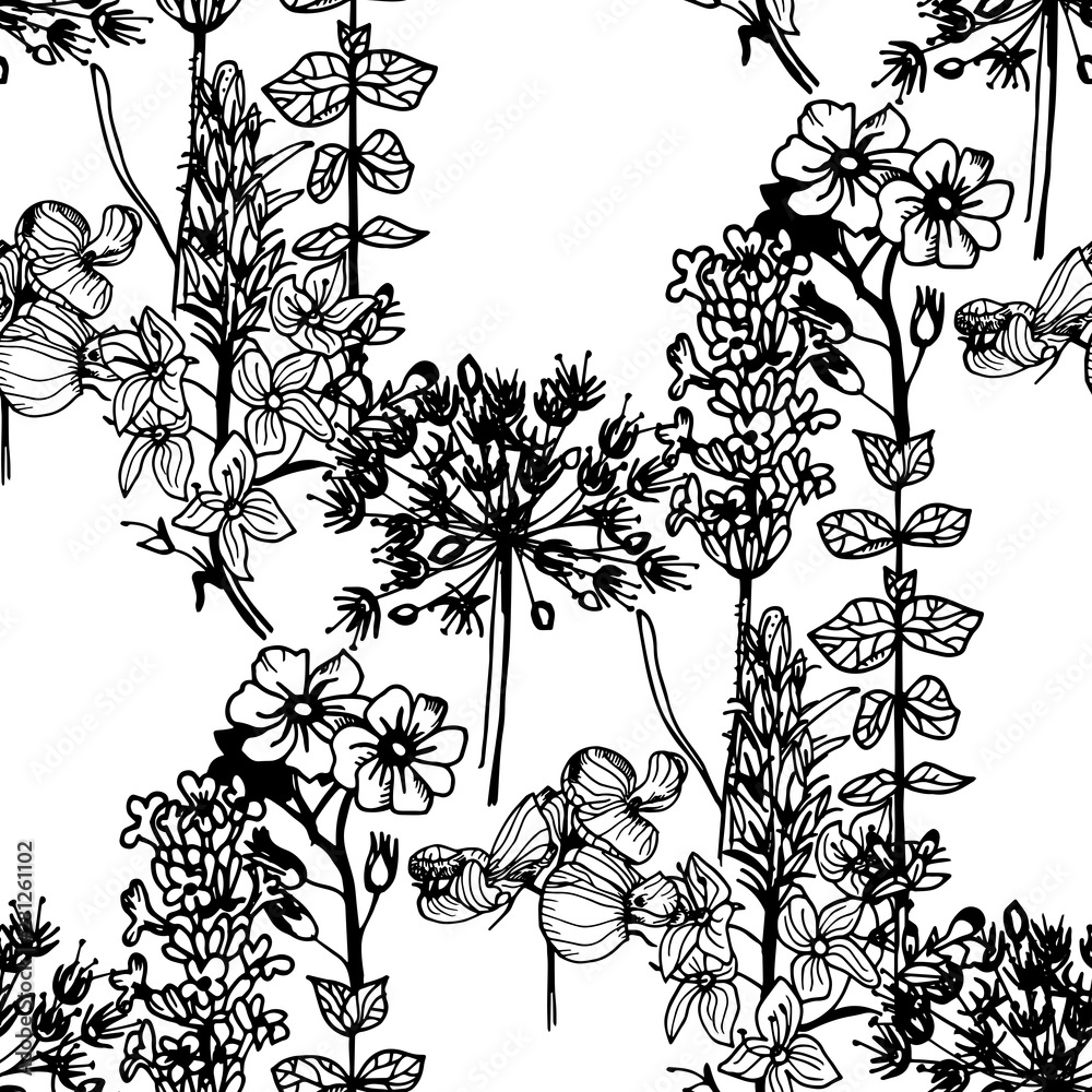 Fototapeta premium seamless floral pattern with wild flower