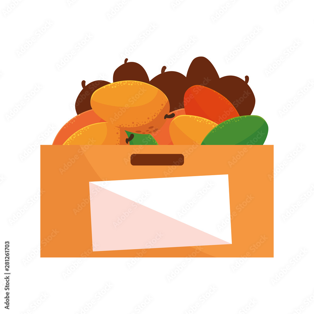 supermarket box with fresh fruit mango supermarket box with fresh fruit mango