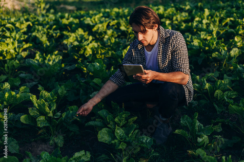 Agronomist  in a field  taking control of the yield with ipad and regard a plant