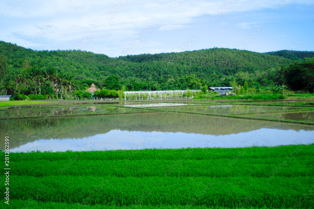 Mountains and green fields, refreshing, comfortable Mountains and green fields, refreshing, comfortable
