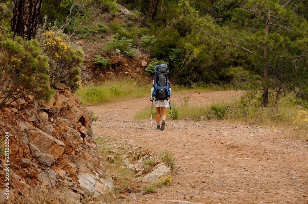 Rear view girl with backpack and hiking sticks walking on the dirt road between rocks