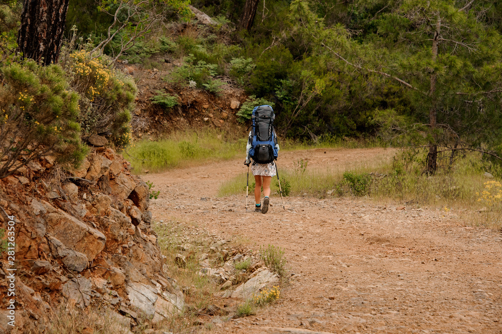 Rear view girl with backpack and hiking sticks walking on the dirt road between rocks Rear view girl with backpack and hiking sticks walking on the dirt road between rocks