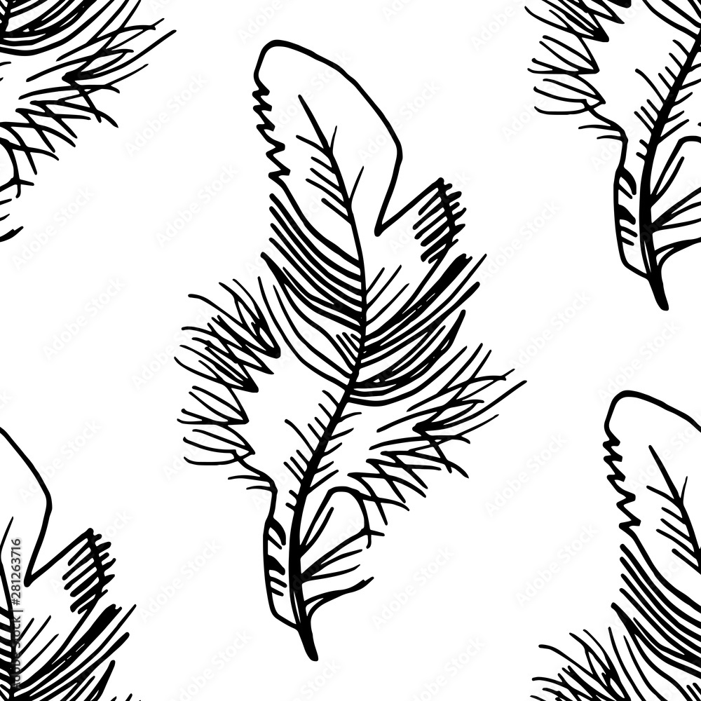 Obraz premium feather seamless pattern hand drawn sketch