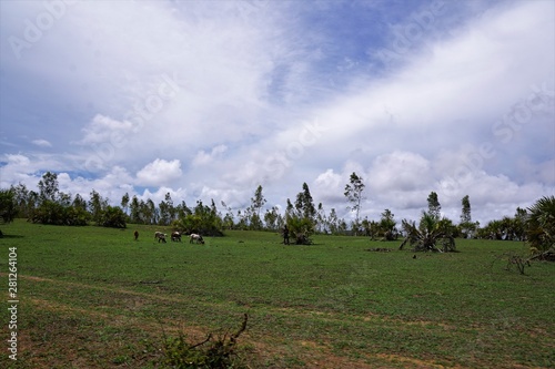 Tsingy rouge reise auf madagaskar in afrika photo