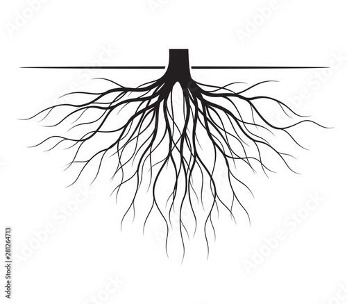 Black Tree Roots. Vector Illustration.