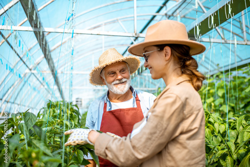 Young woman with grandfather taking care of pepper plantation in the hothouse of a small agricultural farm. Concept of a small family agribusiness photo