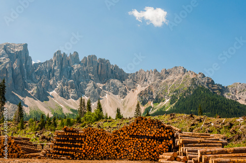 Dolomiten, Latemargruppe, Latemar, Gebirge, Holzwirtschaft, Waldrodung, Südtirol, Sommer, Italien photo
