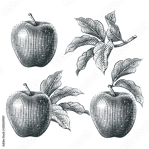 Apples and apple trees branch composition set. Hand drawn engraving style illustrations.