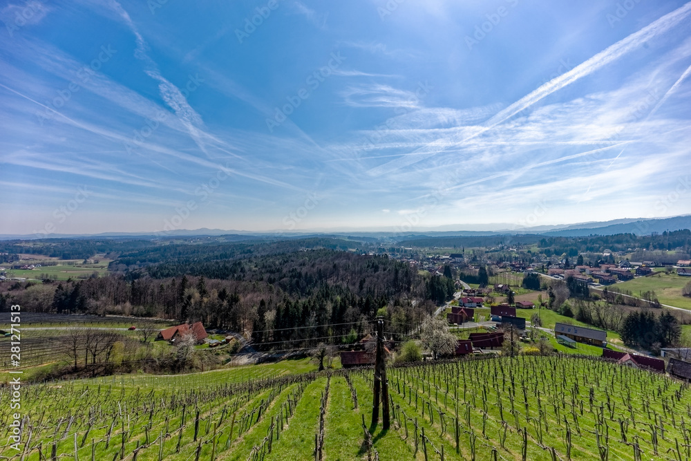 vineyard in styria