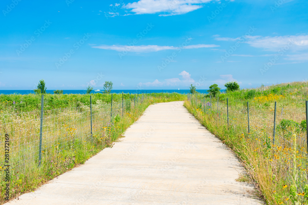 Path with Native Plants and a Blue Sky at Northerly Island in Chicago during the Summer by Lake Michigan