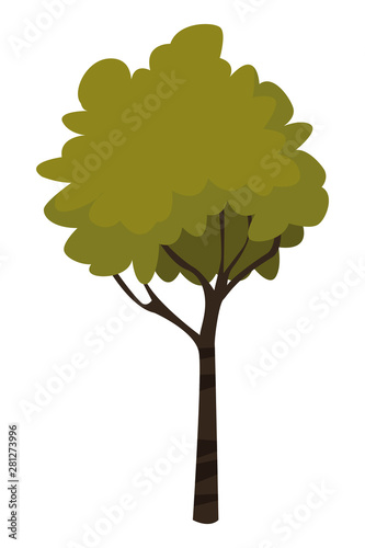Nature tree with leaves isolated cartoon