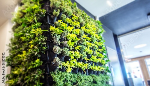 Wallpaper Mural Living green wall, vertical garden indoors  in modern restaurant. Torontodigital.ca