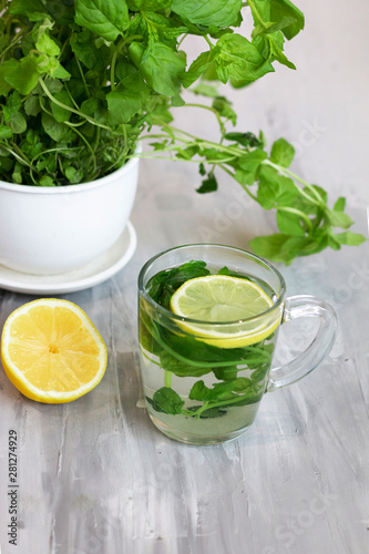Herbal tea with lemon and mint in a glass cup, fresh, vitamin and health drink