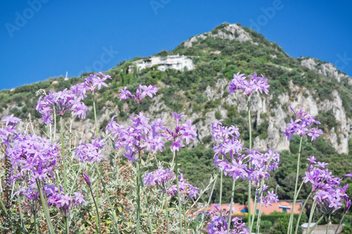 View of Circeo mountain - National Park - Latina Italy