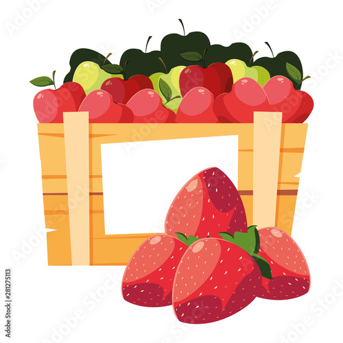 fresh fruits apples in wooden basket