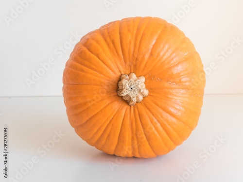 Wallpaper Mural Small orange pumpkin isolated on white background Torontodigital.ca