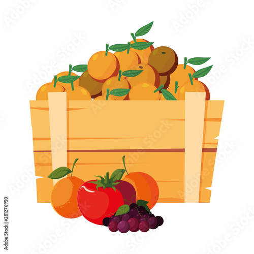 fresh fruits in wooden basket oranges