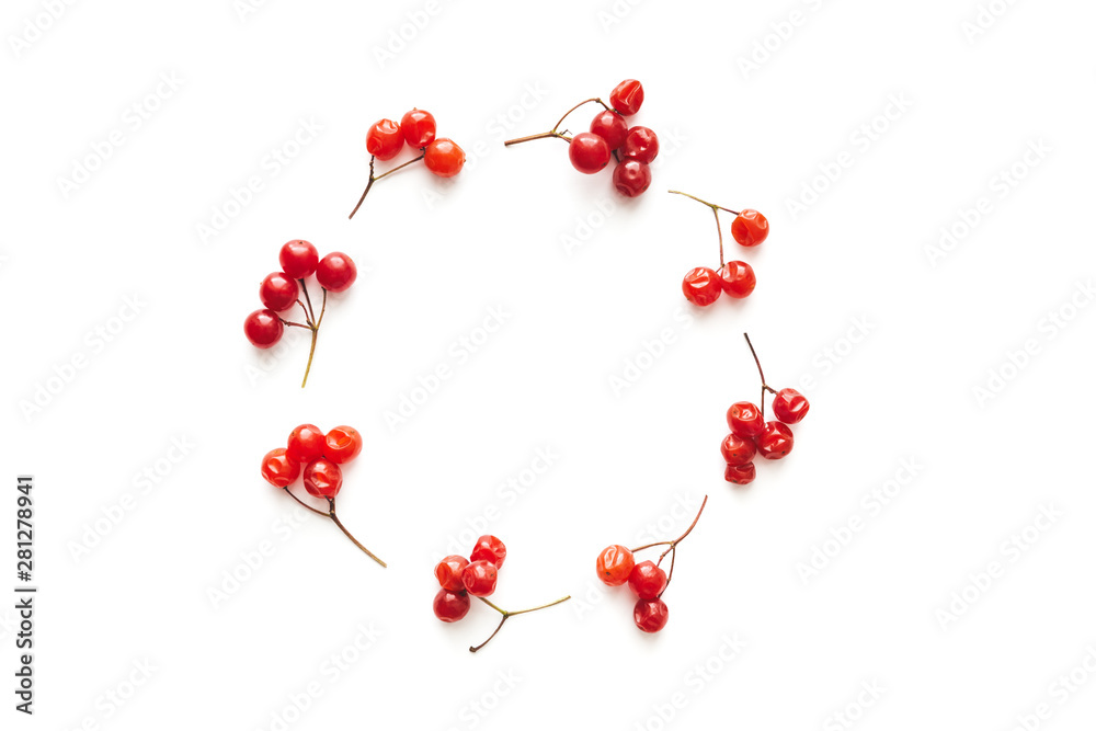 Circle Made Of Red Berries On White Background Circle Made Of Red Berries On White Background