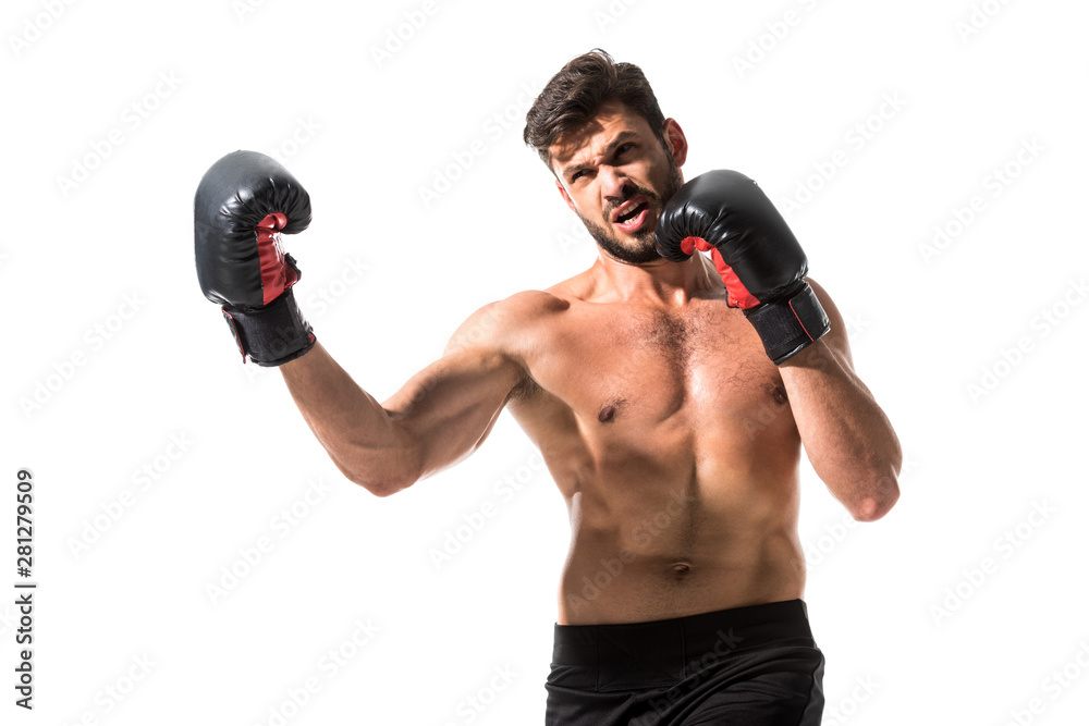 bearded muscular Boxer boxing Isolated On White bearded muscular Boxer boxing Isolated On White