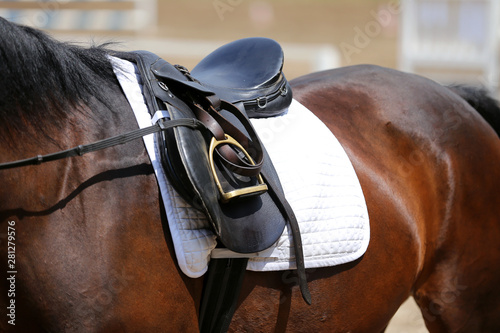 Closeup of a leather saddle for equestrian sport on horseback