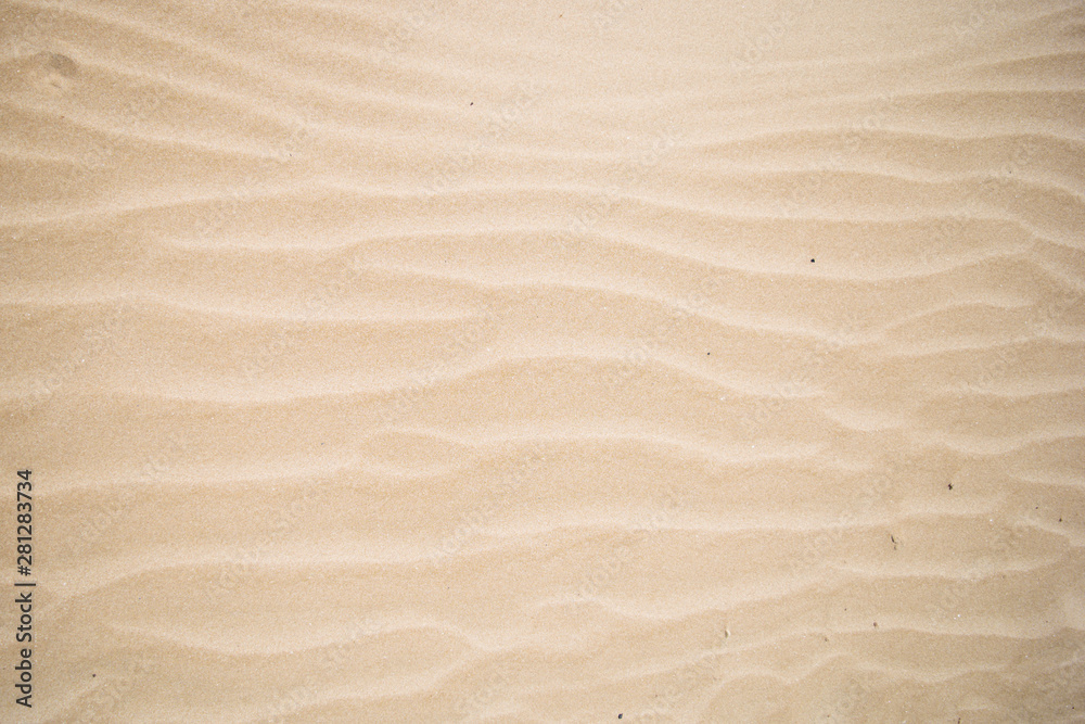 The texture of the sandy beach. The texture of the sandy beach.
