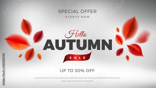 Autumn sale background with red leaves, fall nature vector design elements.Web layout template