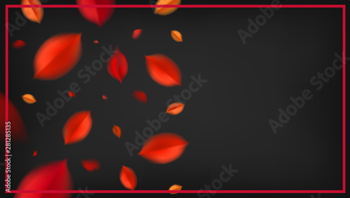 Autumn banner background with red leaves, fall nature vector design elements. Web layout template