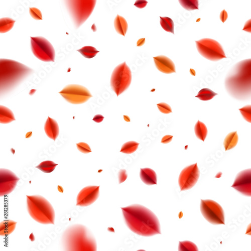 Autumn seamless pattern, background with red leaves, fall nature vector design elements. Web layout template