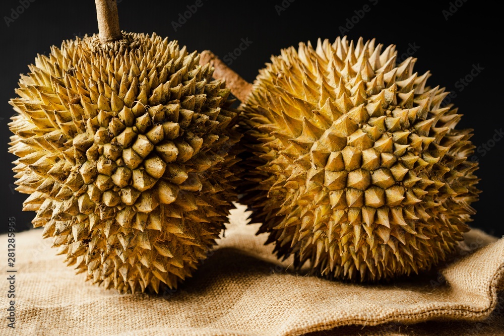 Durian Durian