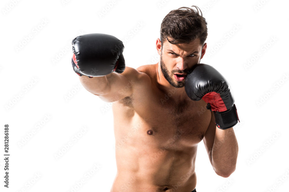 bearded muscular Boxer boxing Isolated On White bearded muscular Boxer boxing Isolated On White
