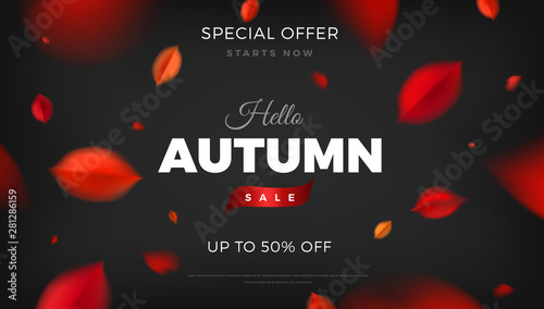 Autumn sale banner background with red leaves, fall nature vector promo design elements. Web layout template
