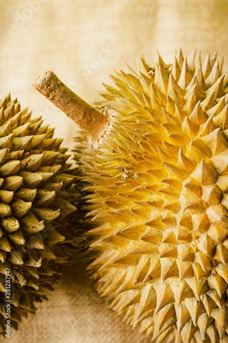 Durian photo