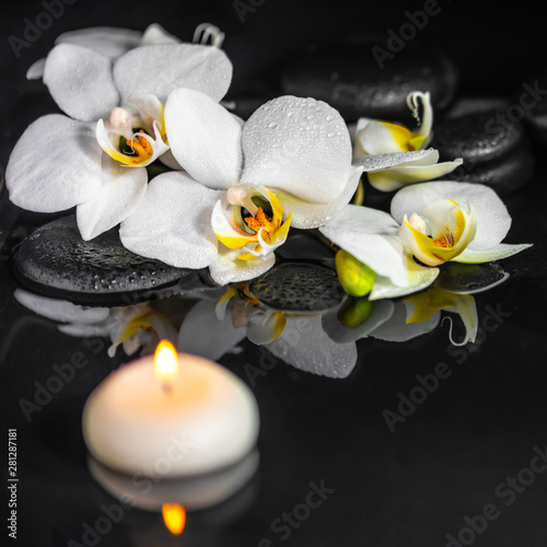 spa concept of white orchid (phalaenopsis), candles and black zen stones with drops on water with reflection