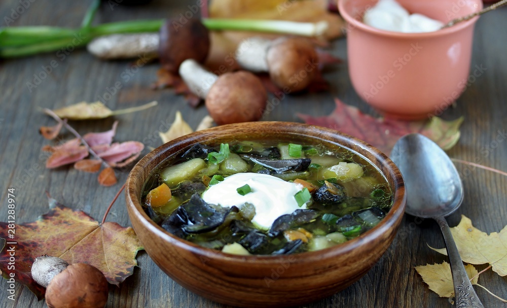 soup from mushrooms aspen .wild mushroom . soup from mushrooms aspen .wild mushroom .