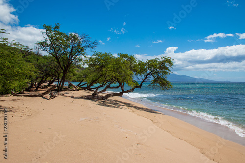 Sandstrand in Maui