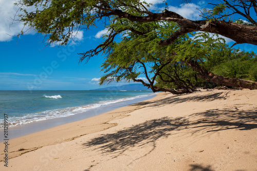 Strand auf Maui in Hawaii © Alexander Glenn