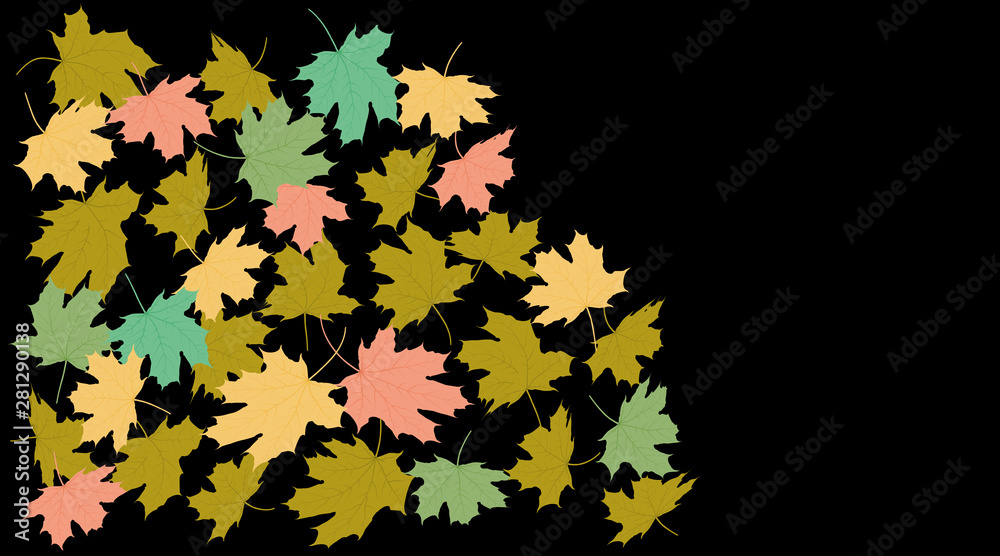 Flying maple green pink and yellow leaves on black background Flying maple green pink and yellow leaves on black background