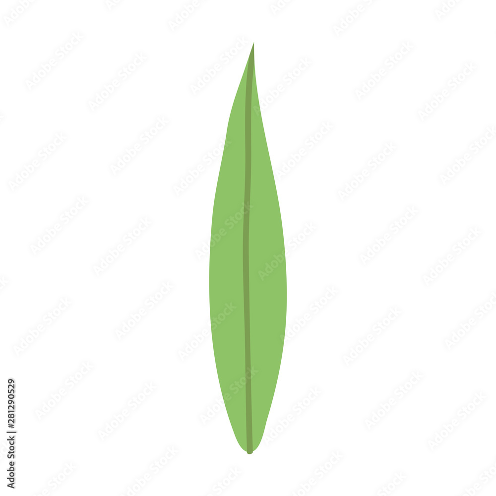 leaf plant garden nature icon