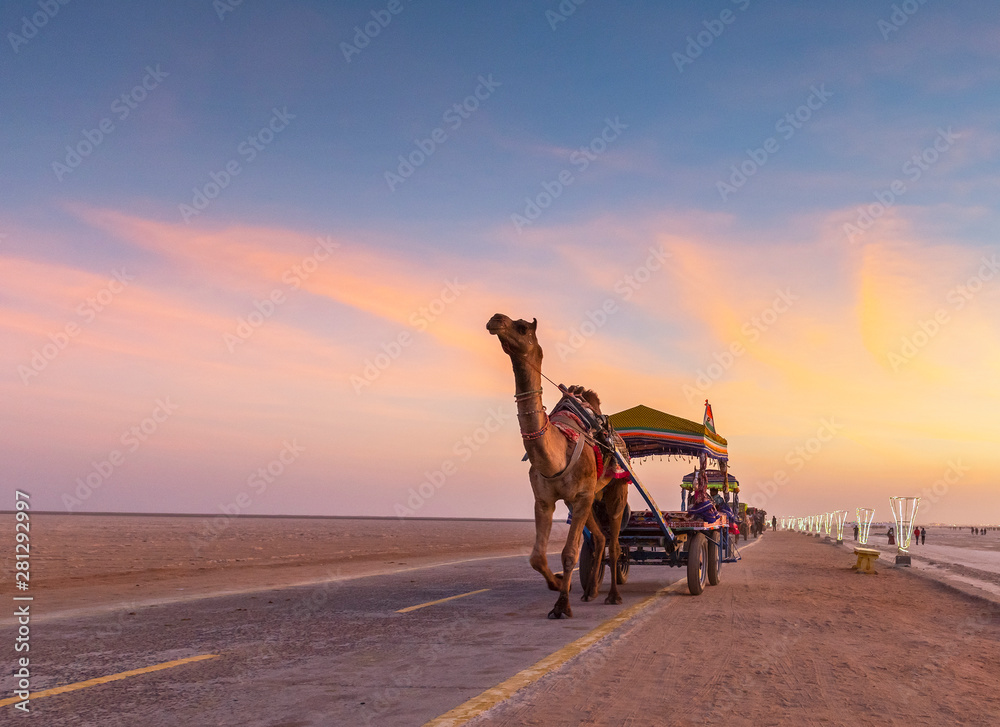Ταπετσαρία Colorful camel cart in Ran festival at Greater rann of Kutch, Gujarat, India