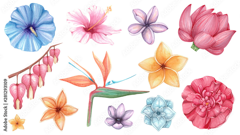 watercolor set with exotic flowers watercolor set with exotic flowers