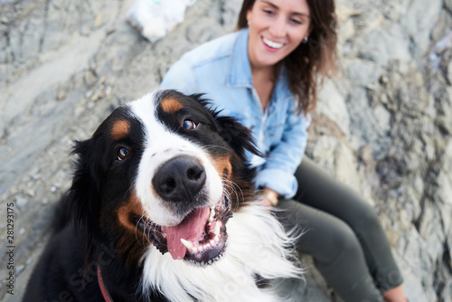 Happy Bernese mountain dog looking at camera, his owner smiles next to him photo